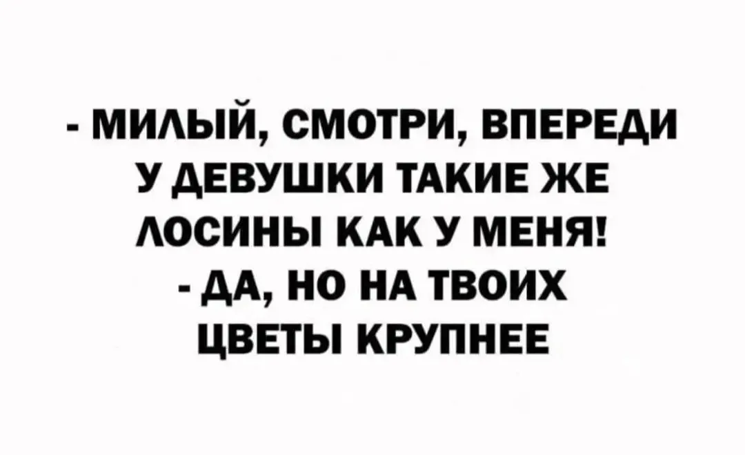 IMG_20240328_045531.webp