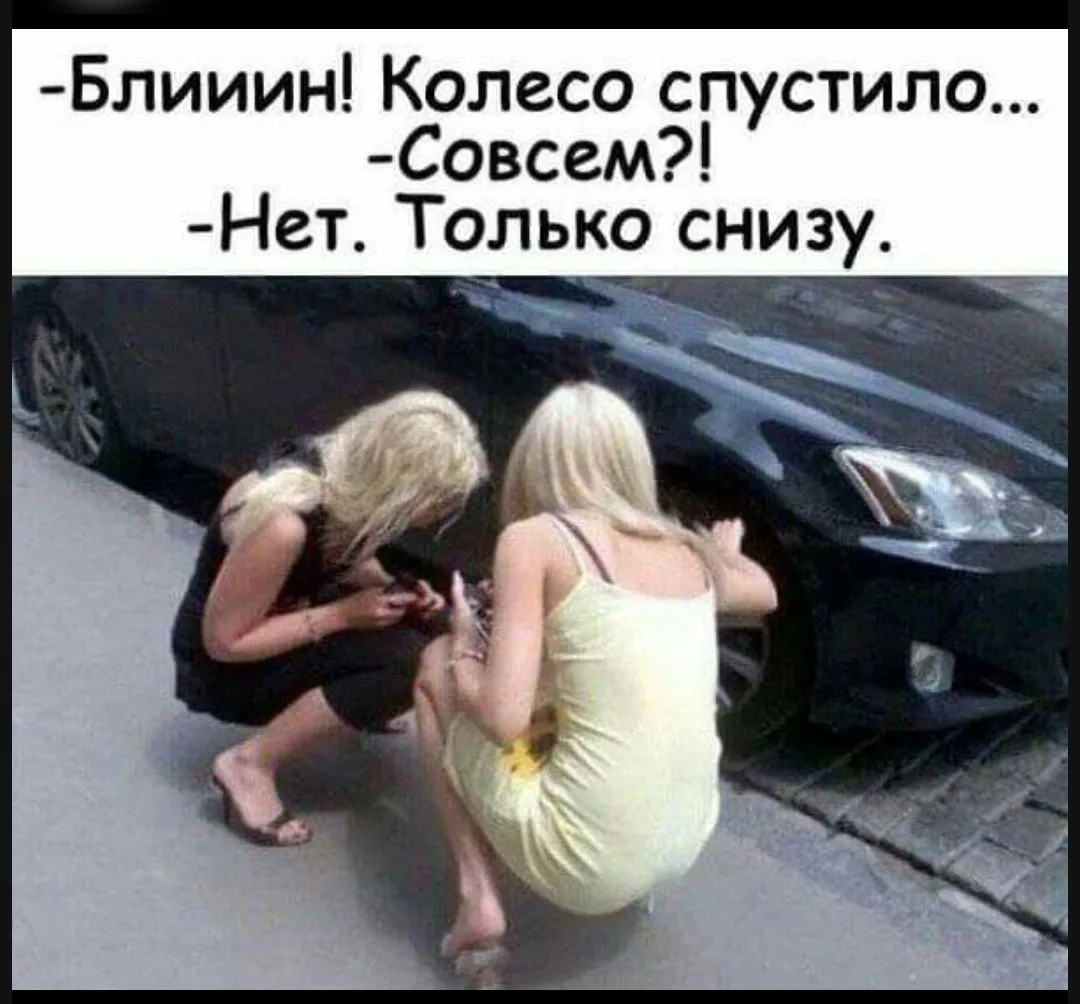 IMG_20240328_175656-world72.spcs.bio.webp