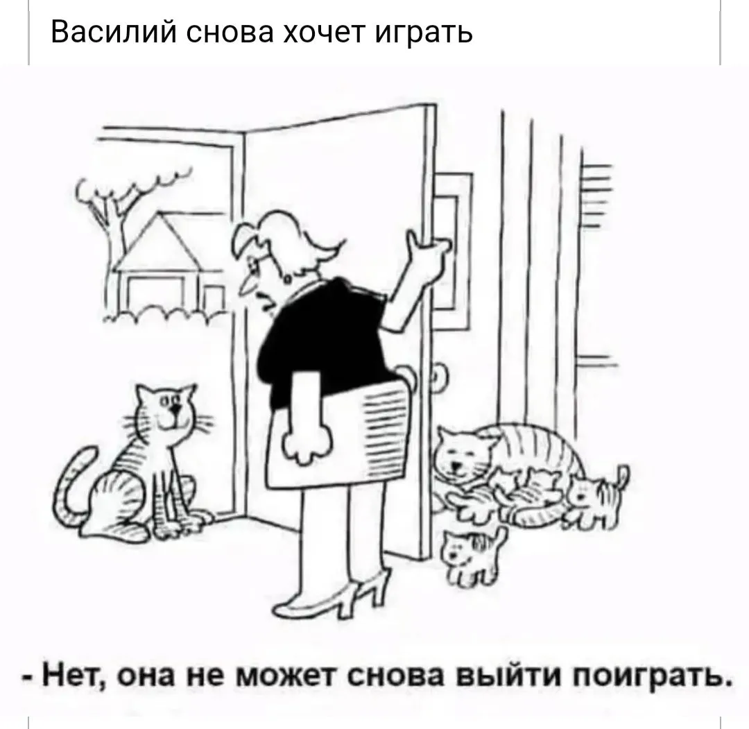 IMG_20240329_083935.webp