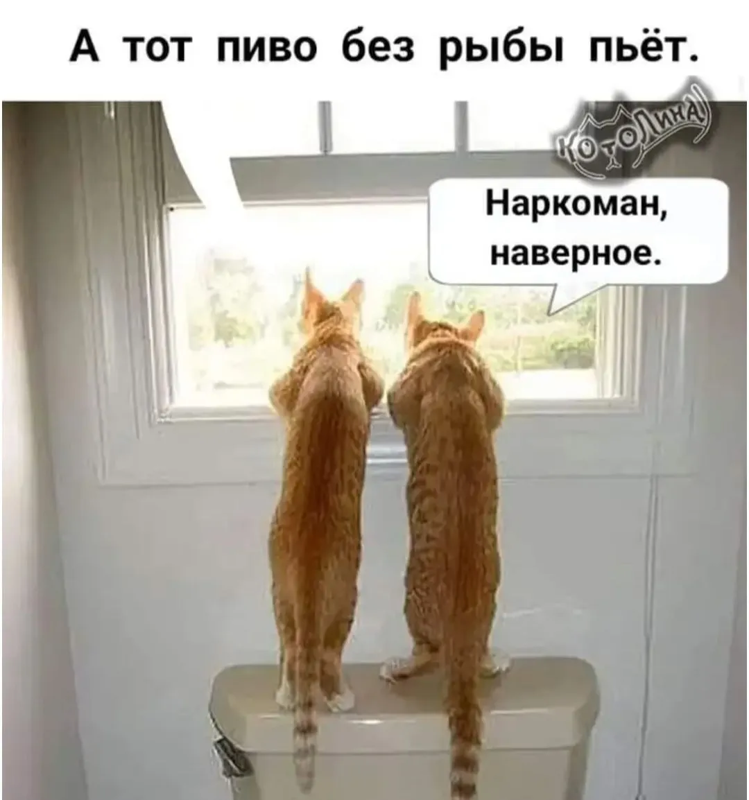 IMG_20240329_084111.webp