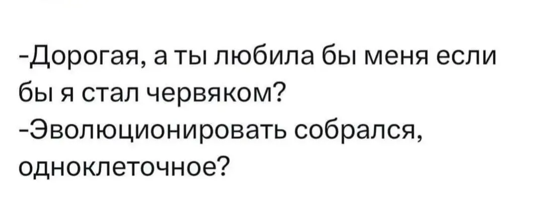 IMG_20240401_032224.webp