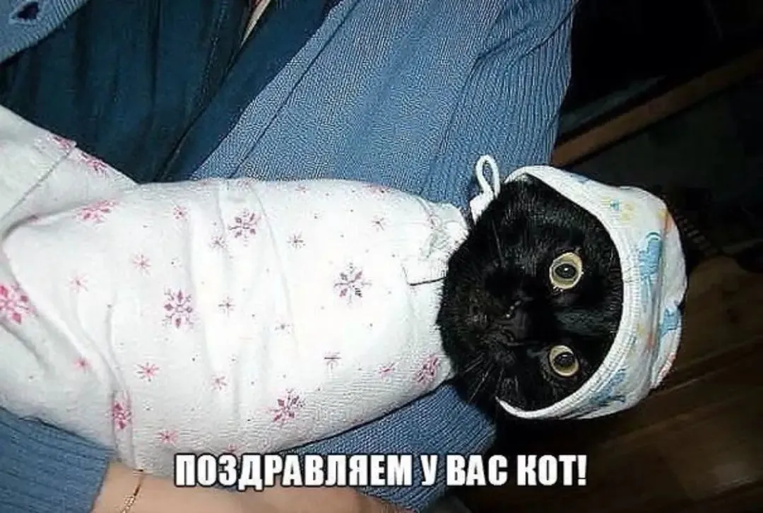 IMG_20240403_064225.webp