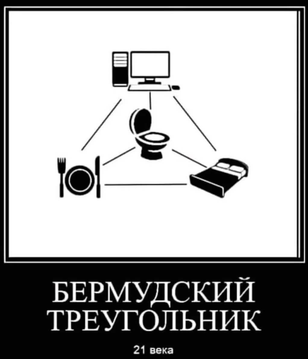IMG_20240404_121822.webp