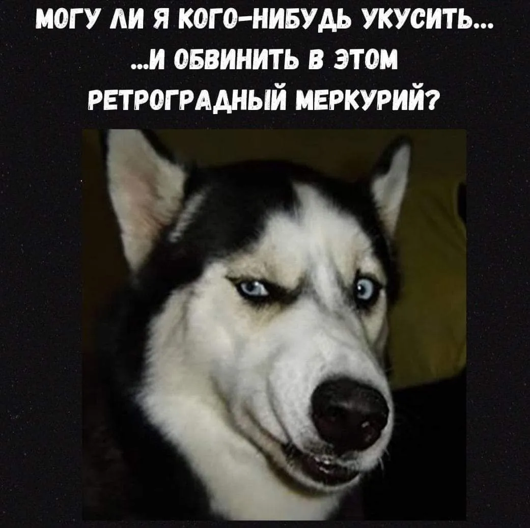 IMG_20240406_105804_951.webp