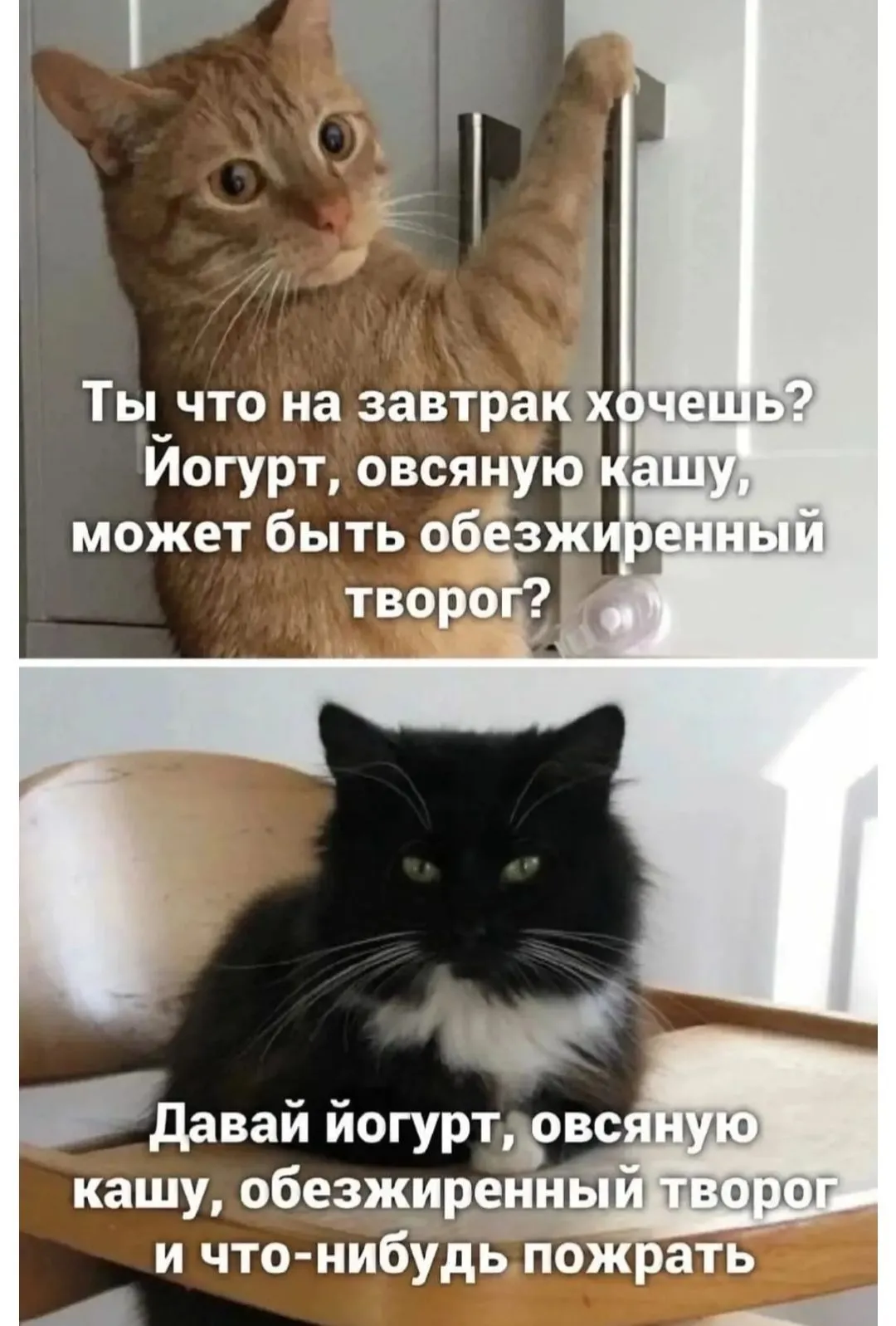 IMG_20240408_080315.webp