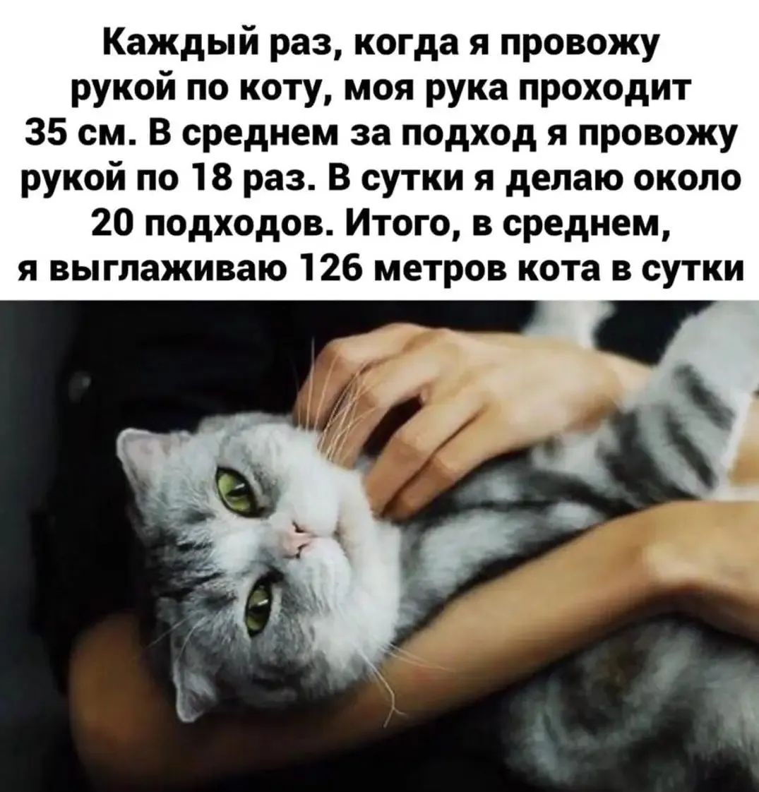 IMG_20240409_213411.webp