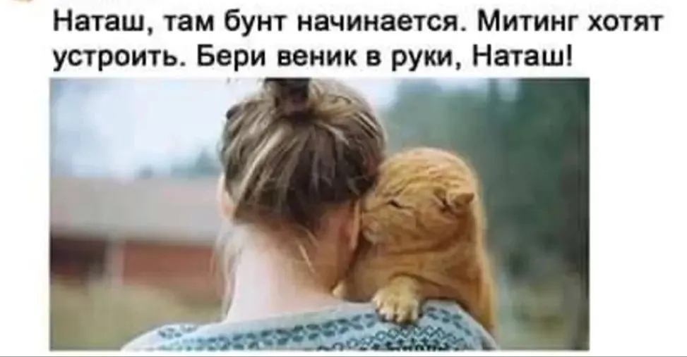 IMG_20240409_213600.webp