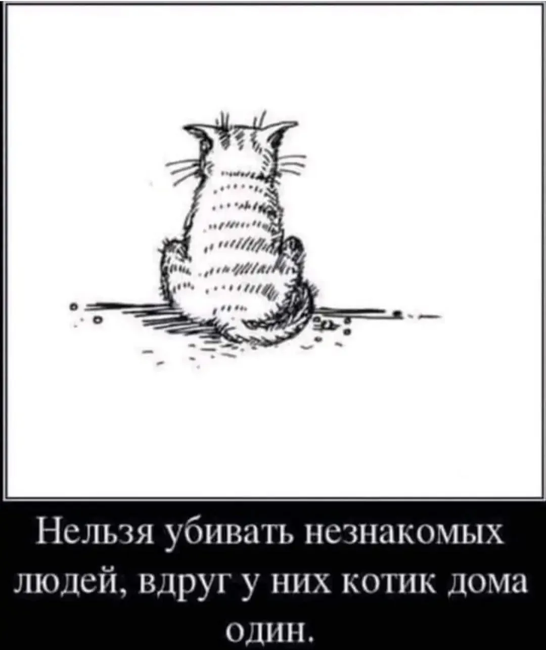 IMG_20240411_115239.webp