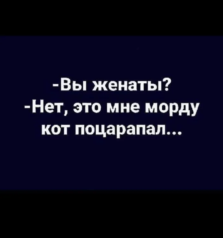 IMG_20240411_155036_688.webp