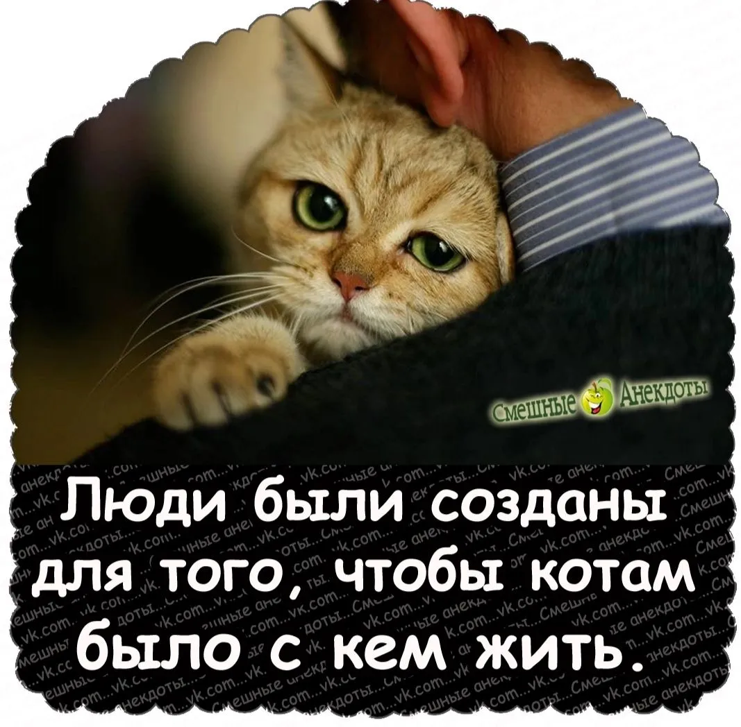 IMG_20240415_142917.webp