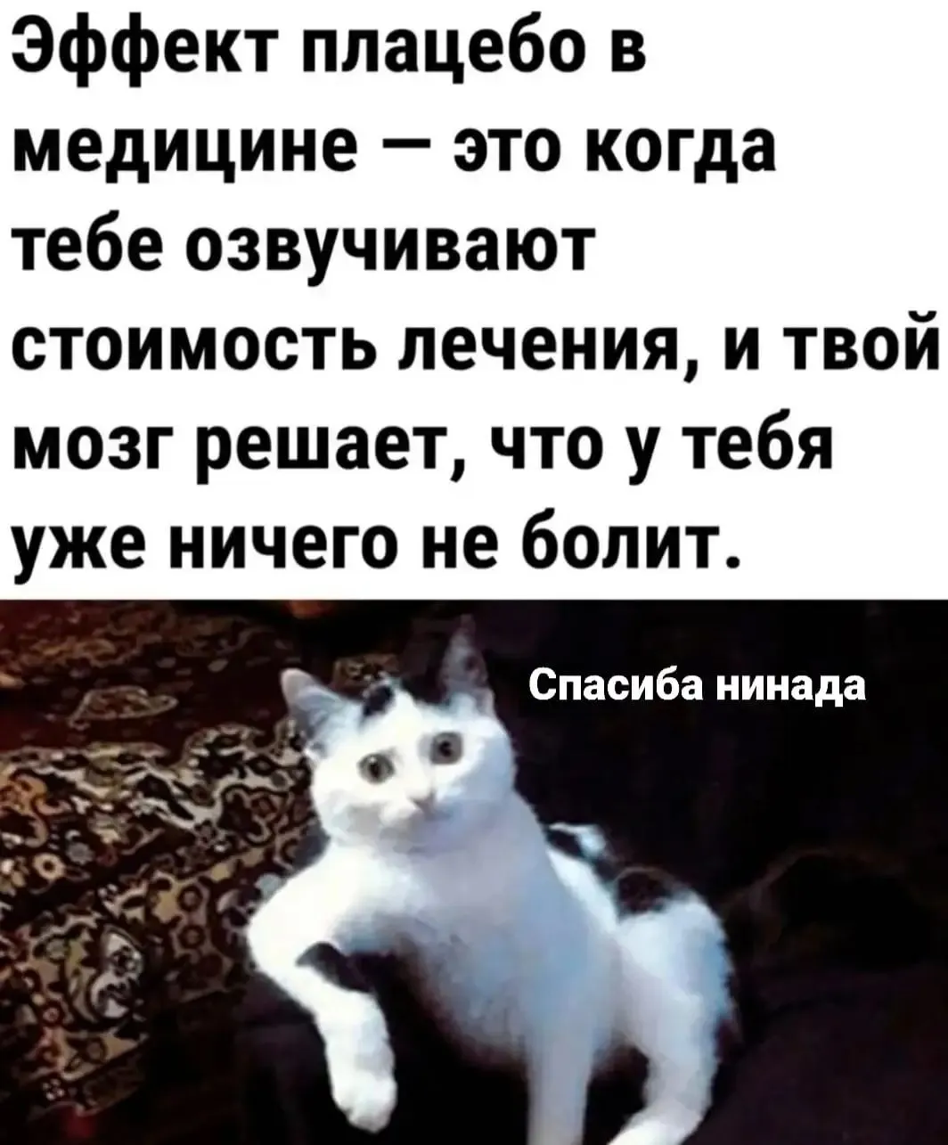 IMG_20240415_143125.webp