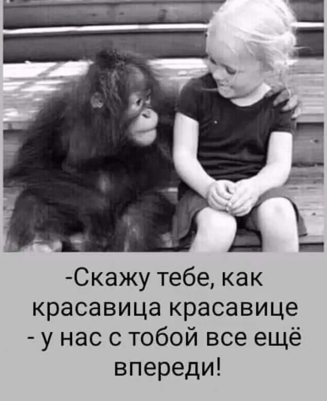 IMG_20240415_223411.webp