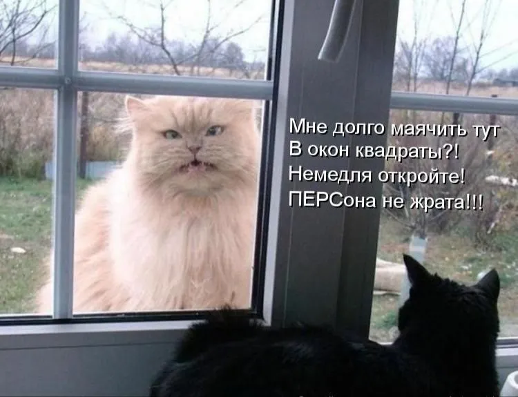 IMG_20240421_092559.webp