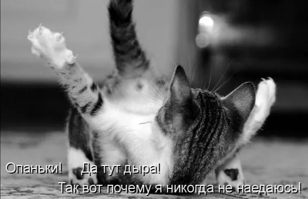 IMG_20240421_092716.webp