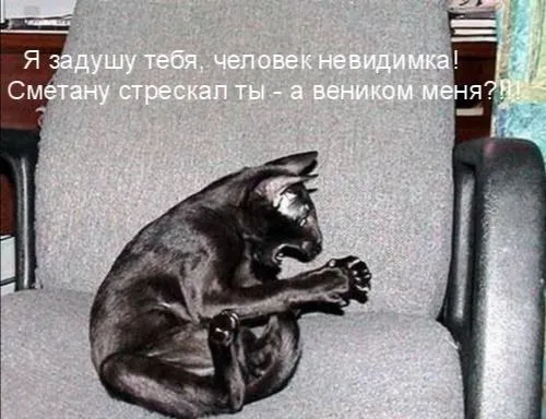 IMG_20240421_092733.webp