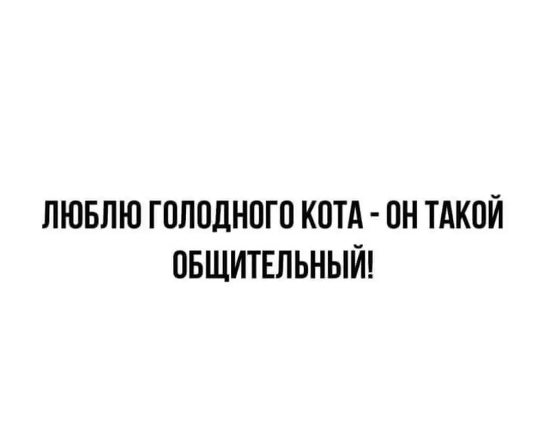 IMG_20240421_105324.webp