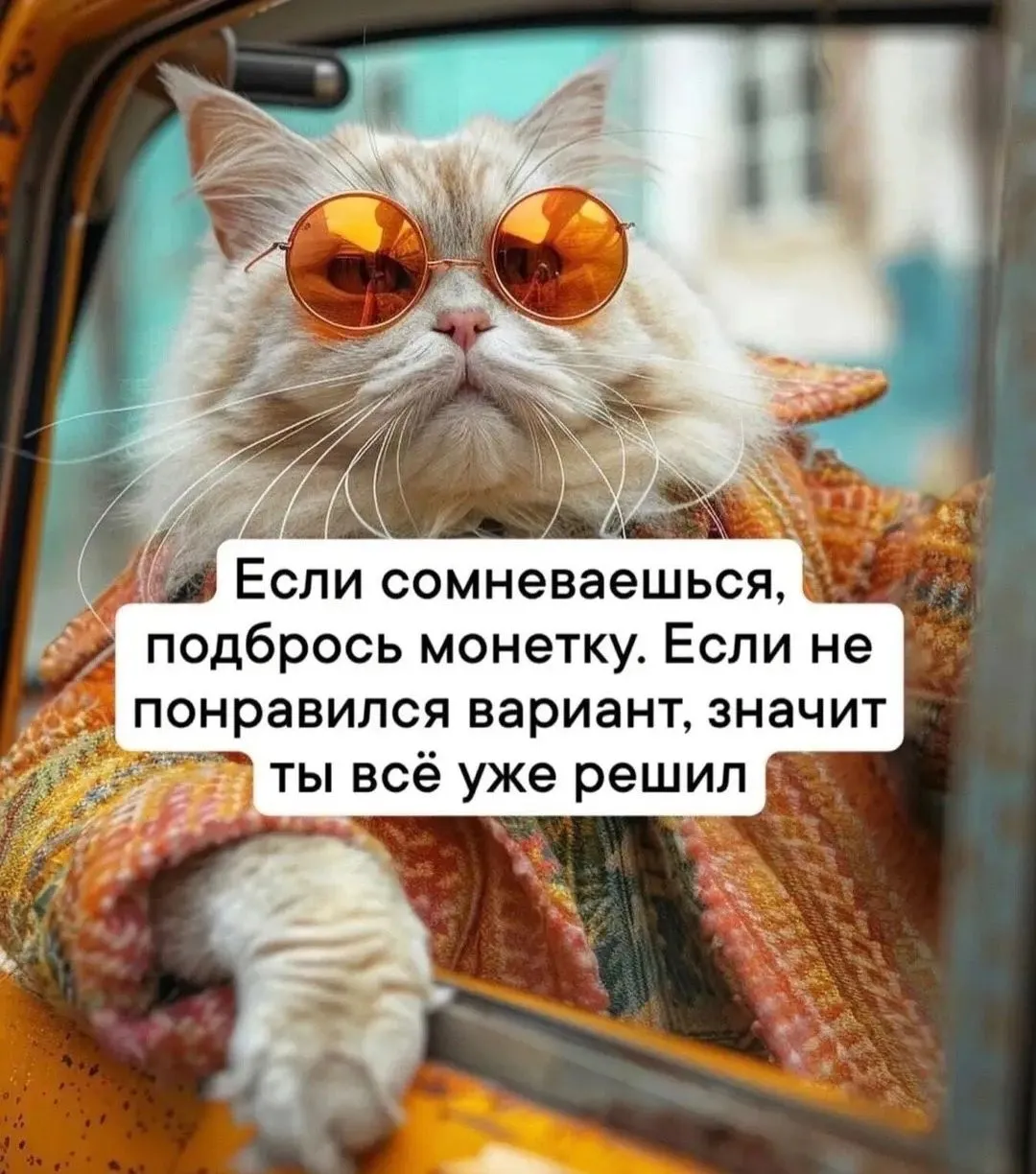 IMG_20240422_091212.webp