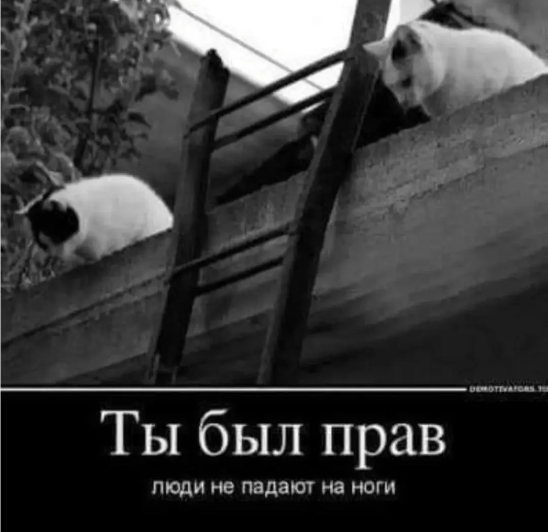 IMG_20240502_204314.webp