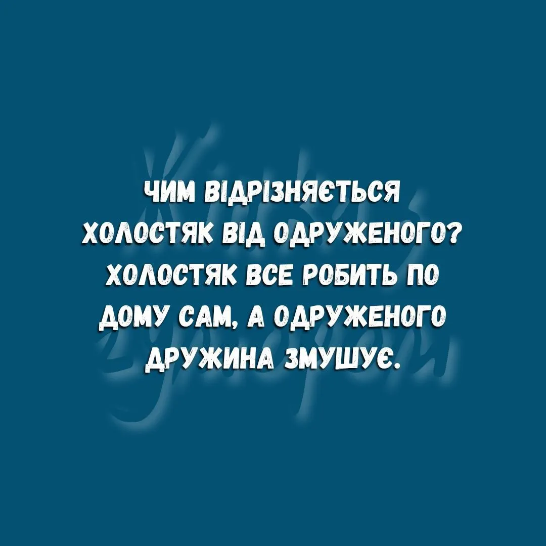 IMG_20240503_201512_282.webp