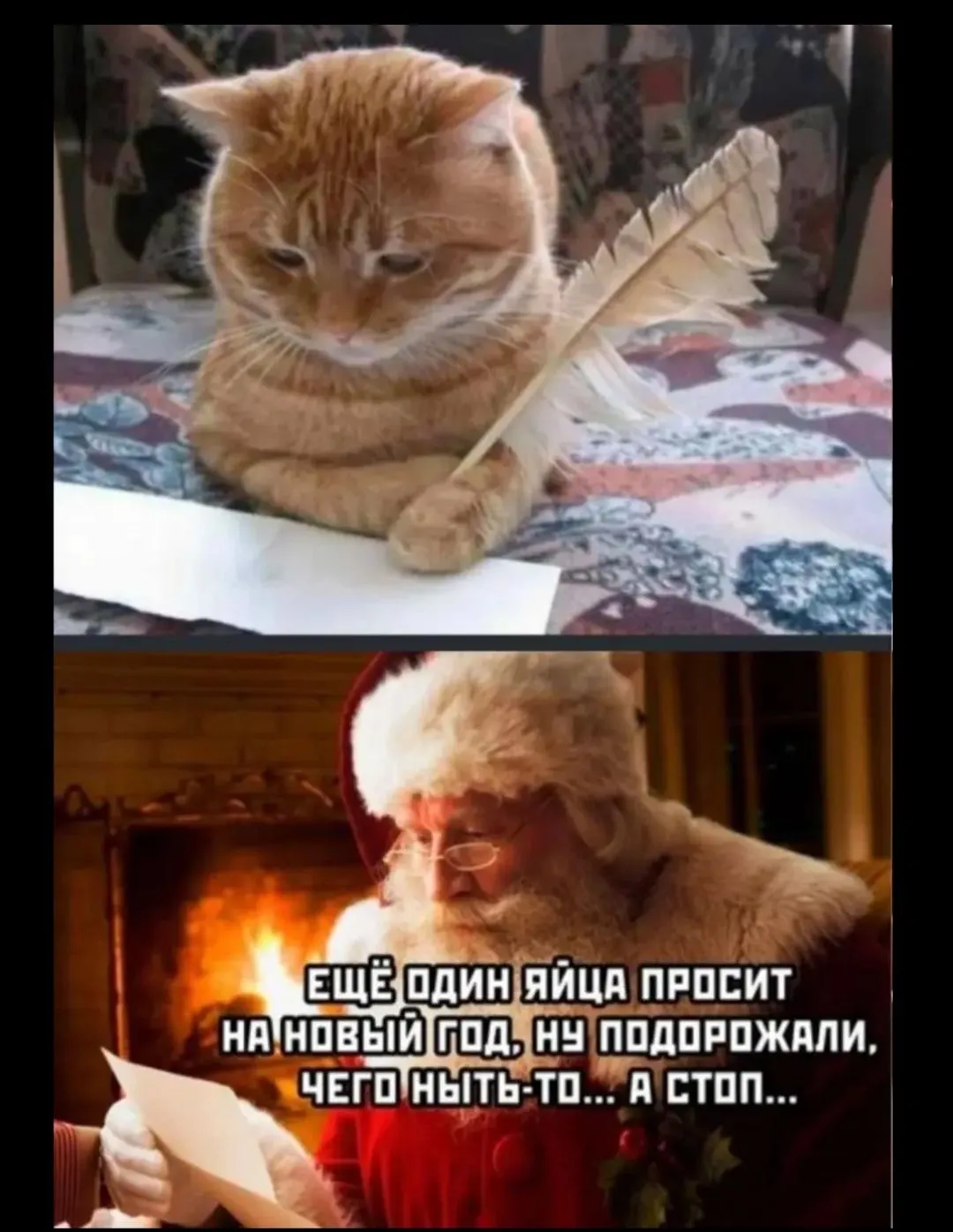 IMG_20240507_061213.webp