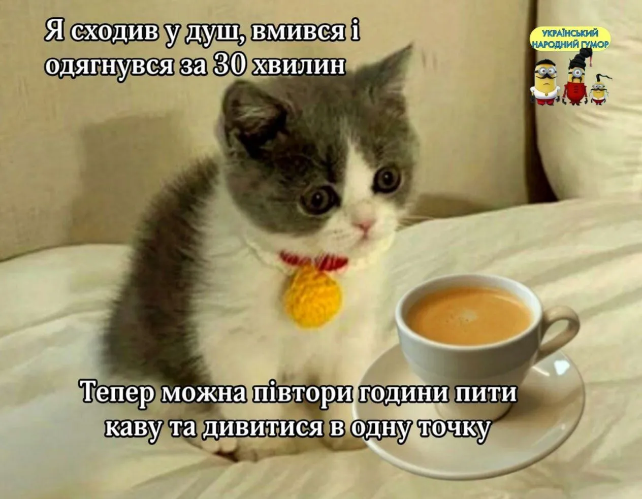 IMG_20240509_054742.webp