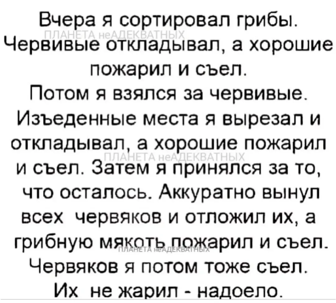 IMG_20240509_110628.webp