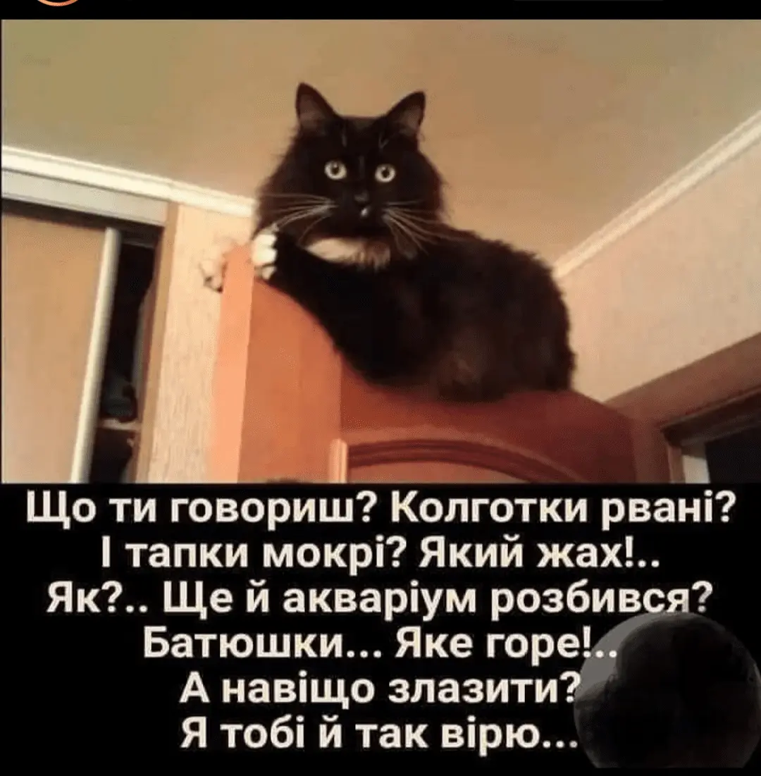 IMG_20240516_052859.webp