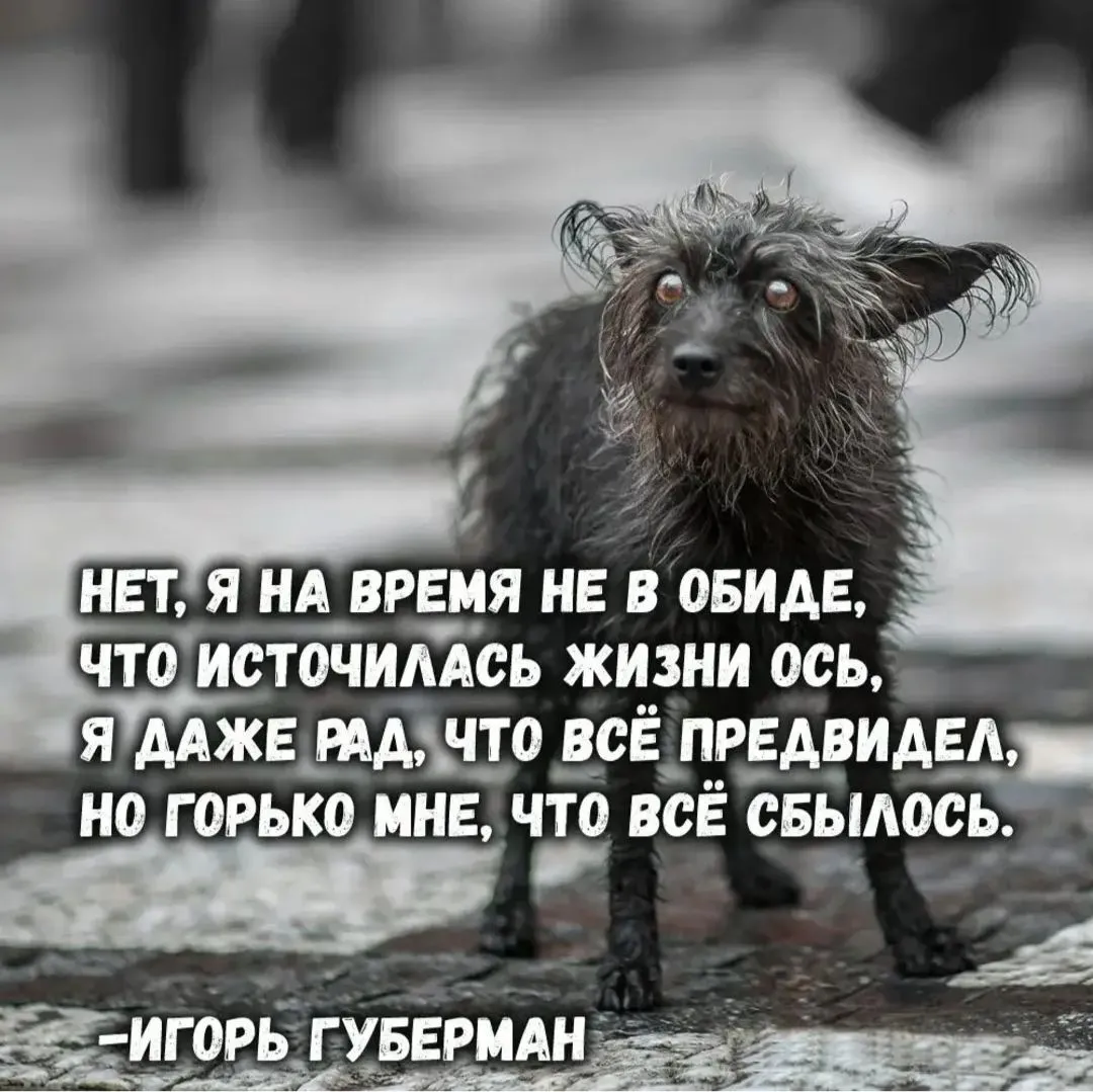 IMG_20240518_023225.webp