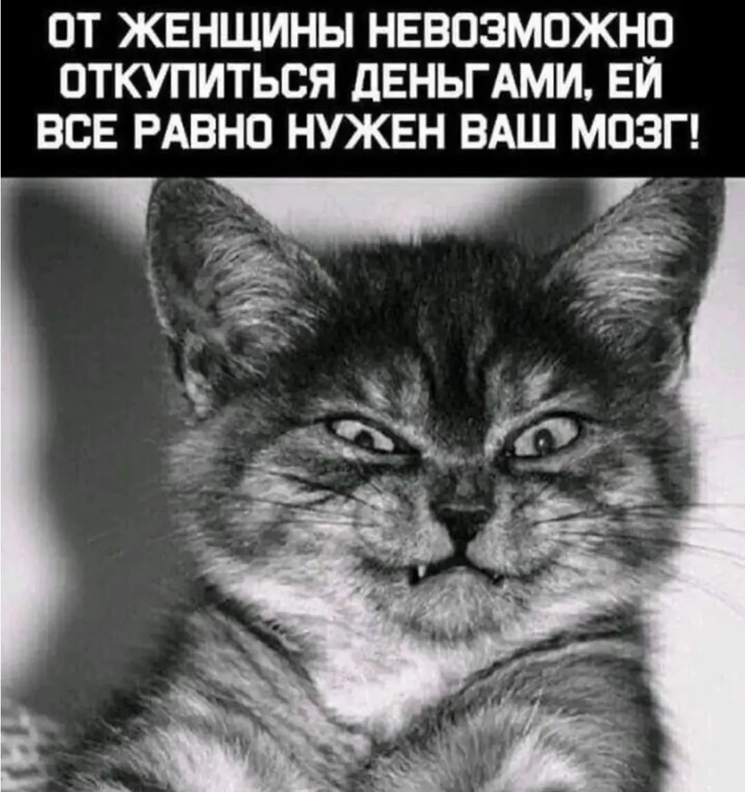 IMG_20240518_184015.webp