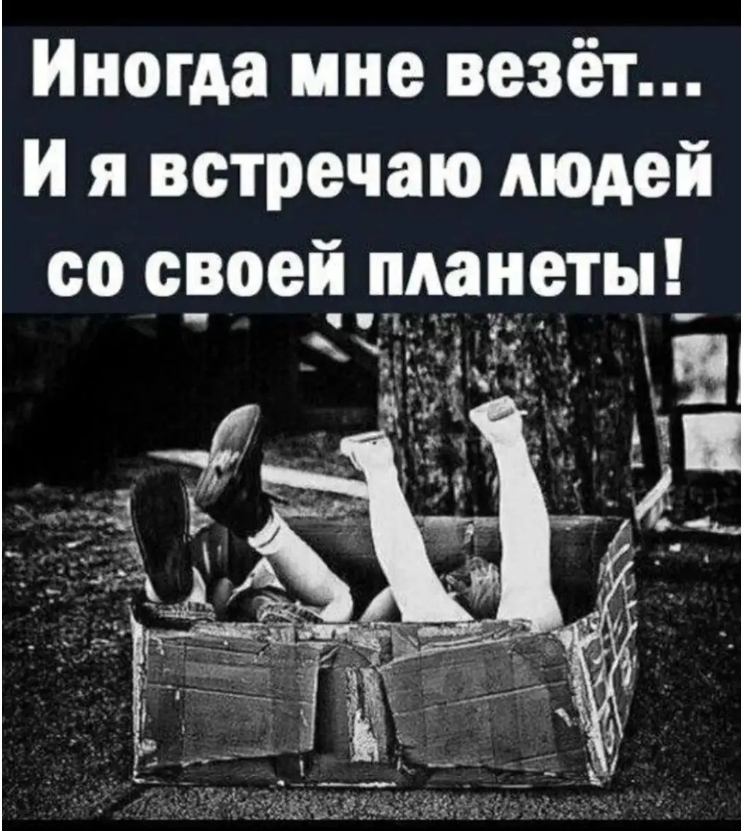 IMG_20240519_043230.webp