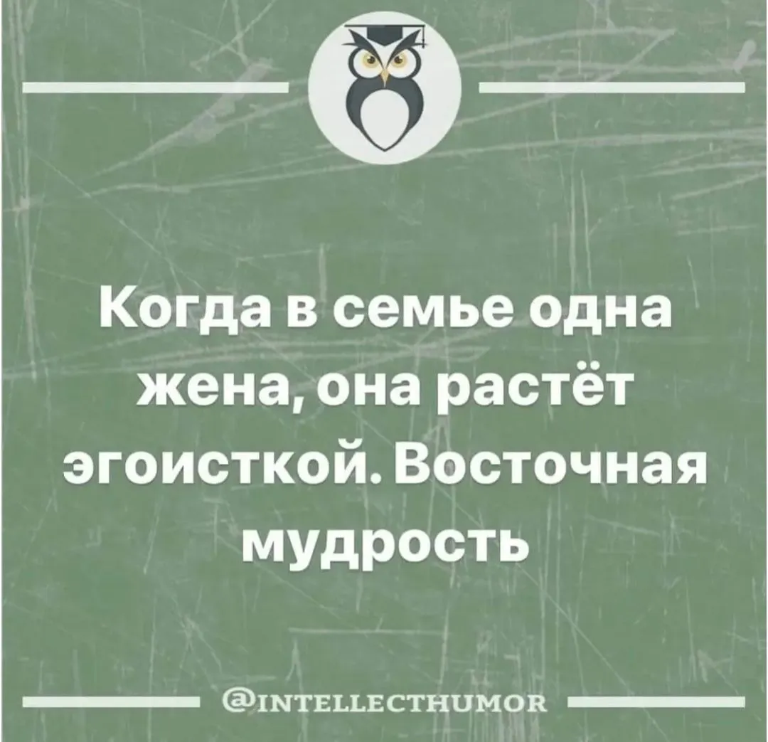 IMG_20240519_100520.webp