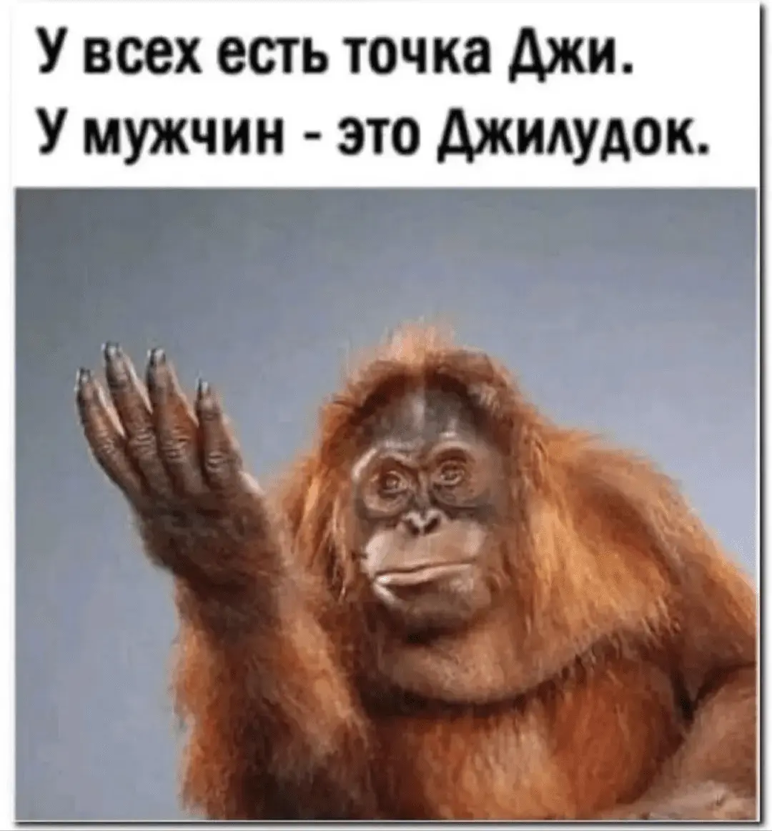 IMG_20240519_201507.webp