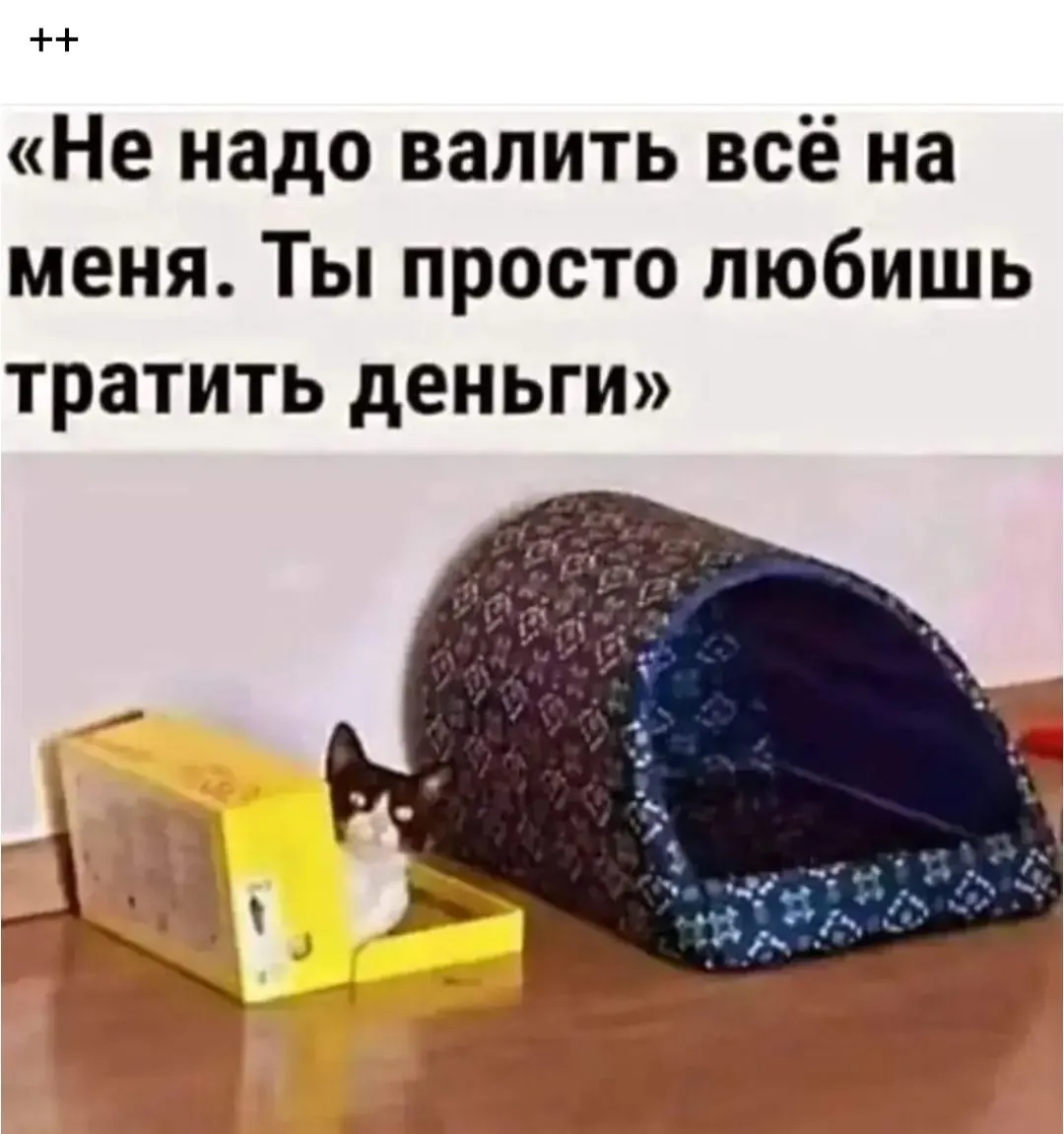 IMG_20240520_153522.webp
