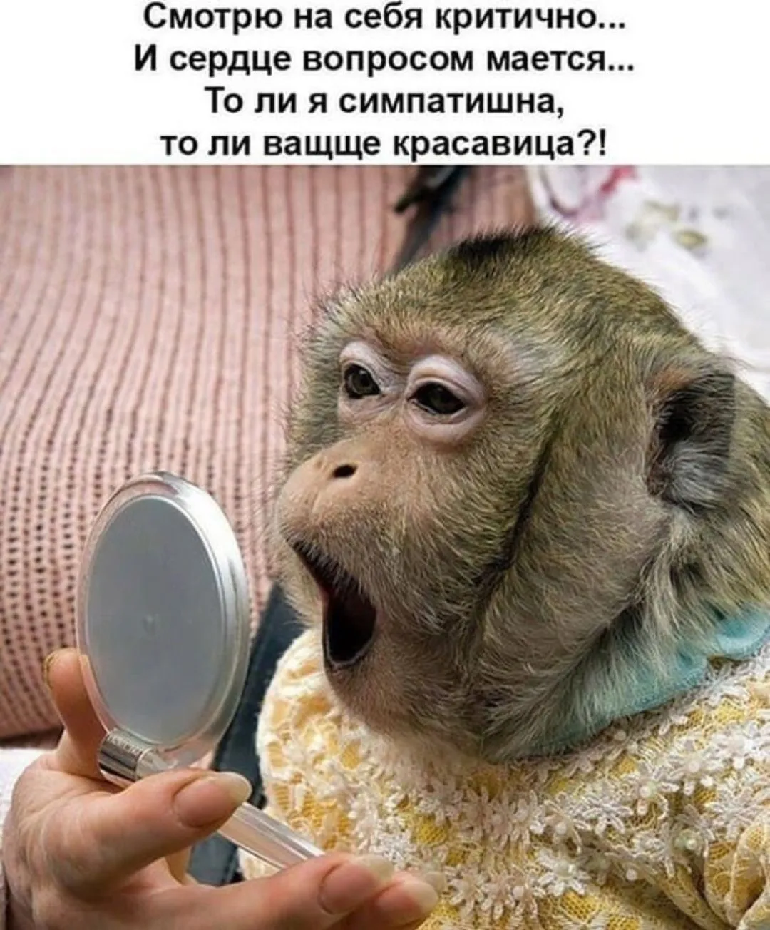 IMG_20240520_202625.webp