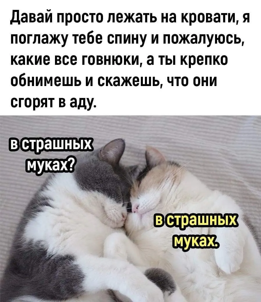 IMG_20240525_064129.webp
