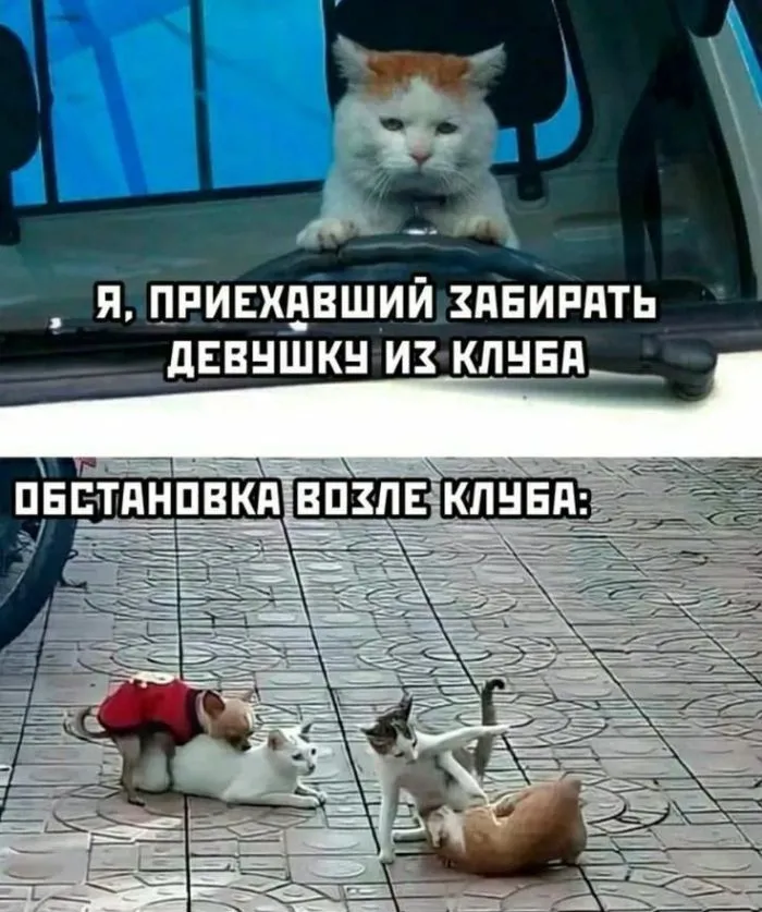 IMG_20240525_135902.webp