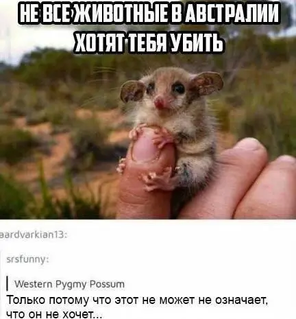 IMG_20240526_181528_355.webp