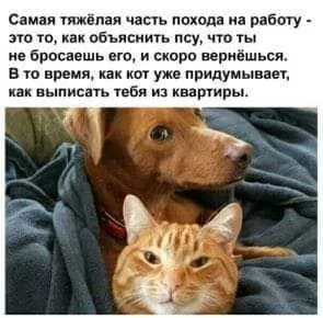 IMG_20240527_090601_787.webp