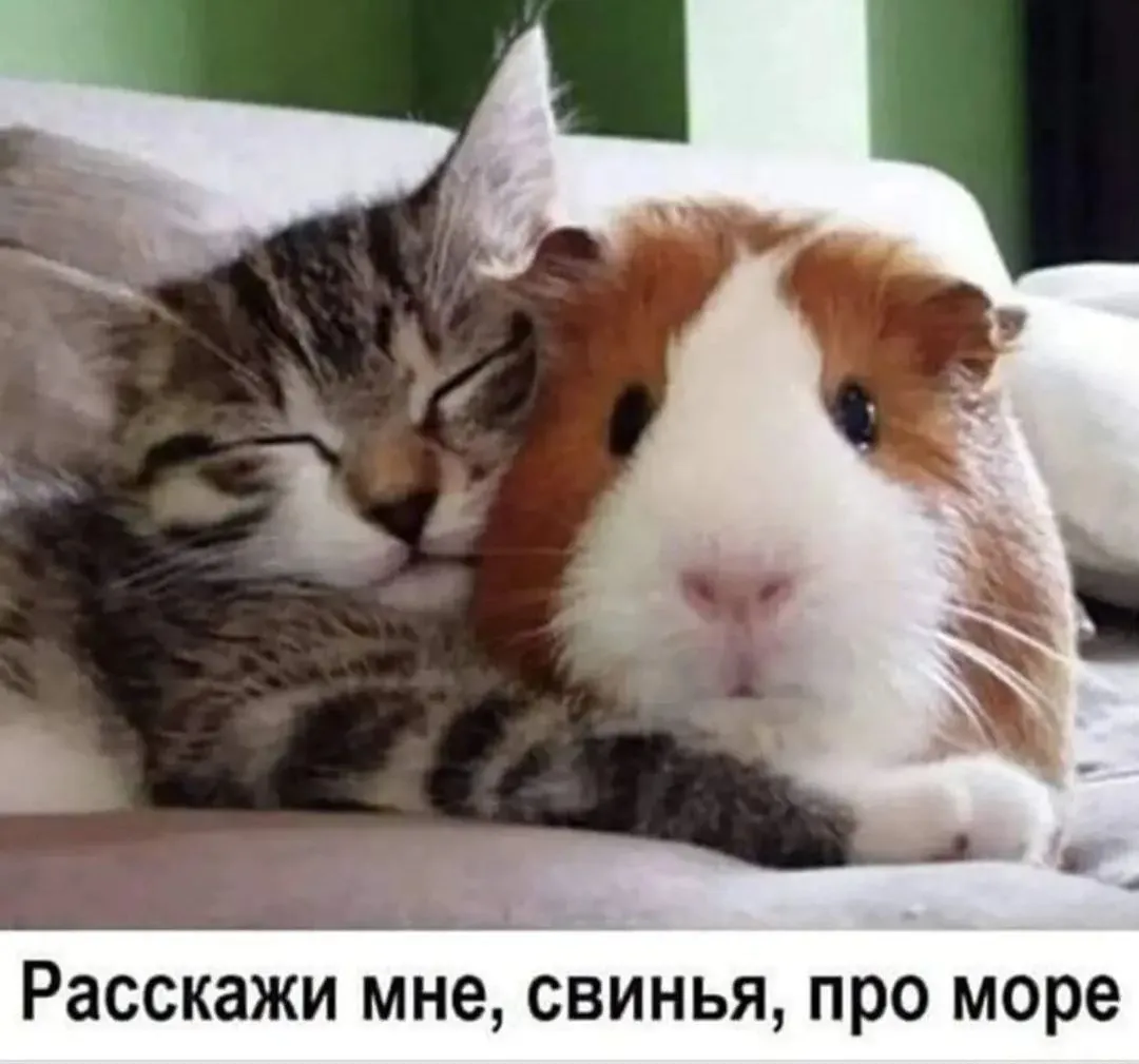 IMG_20240529_144254.webp