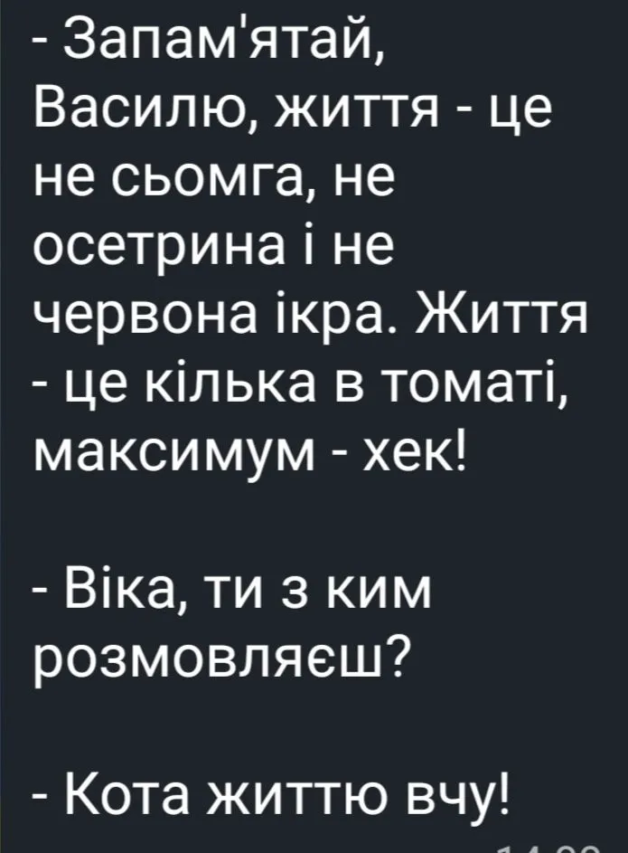 IMG_20240602_145659.webp