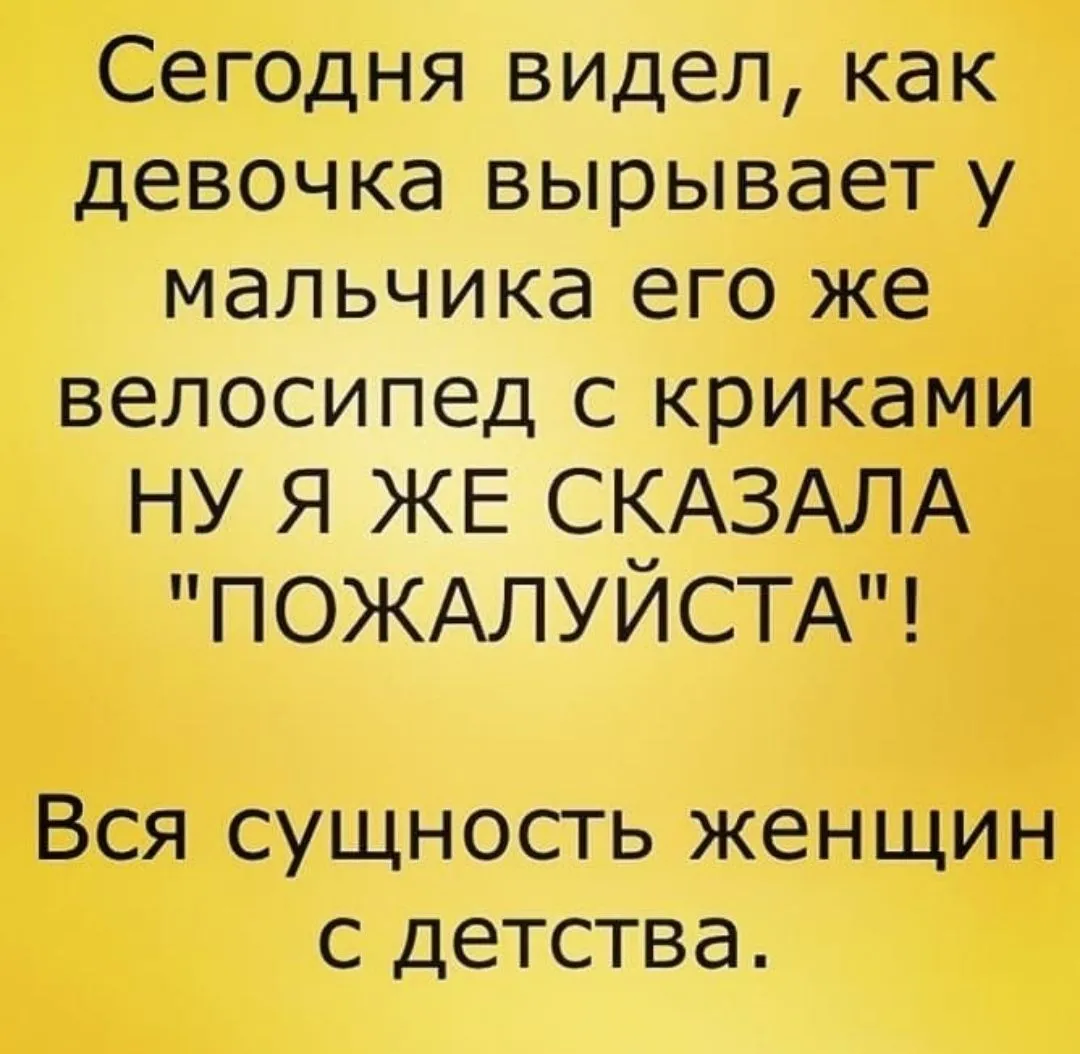 IMG_20240607_125441.webp
