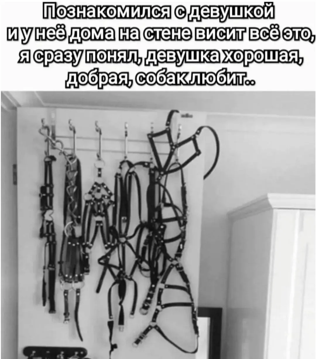IMG_20240612_114328.webp