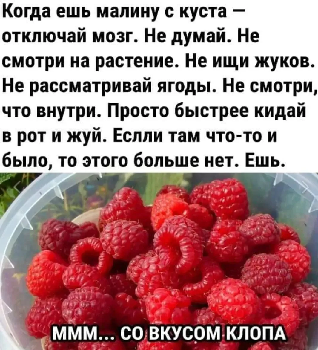 IMG_20240616_132647.webp
