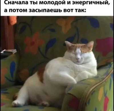 IMG_20240618_191027.webp