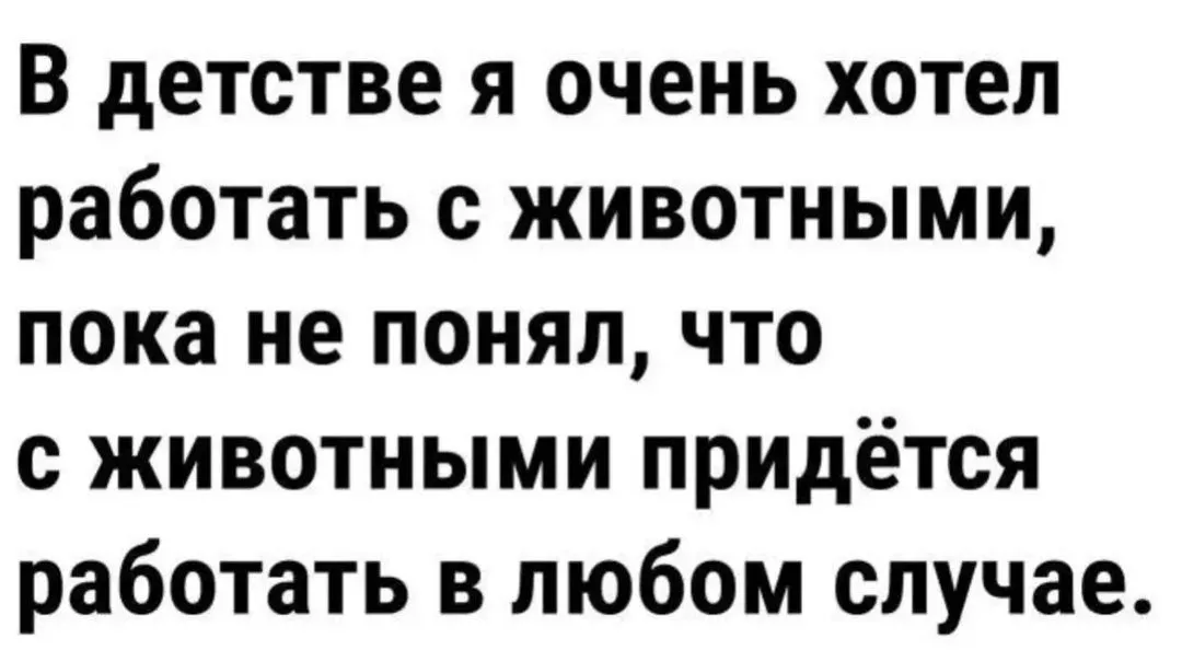 IMG_20240619_075639.webp