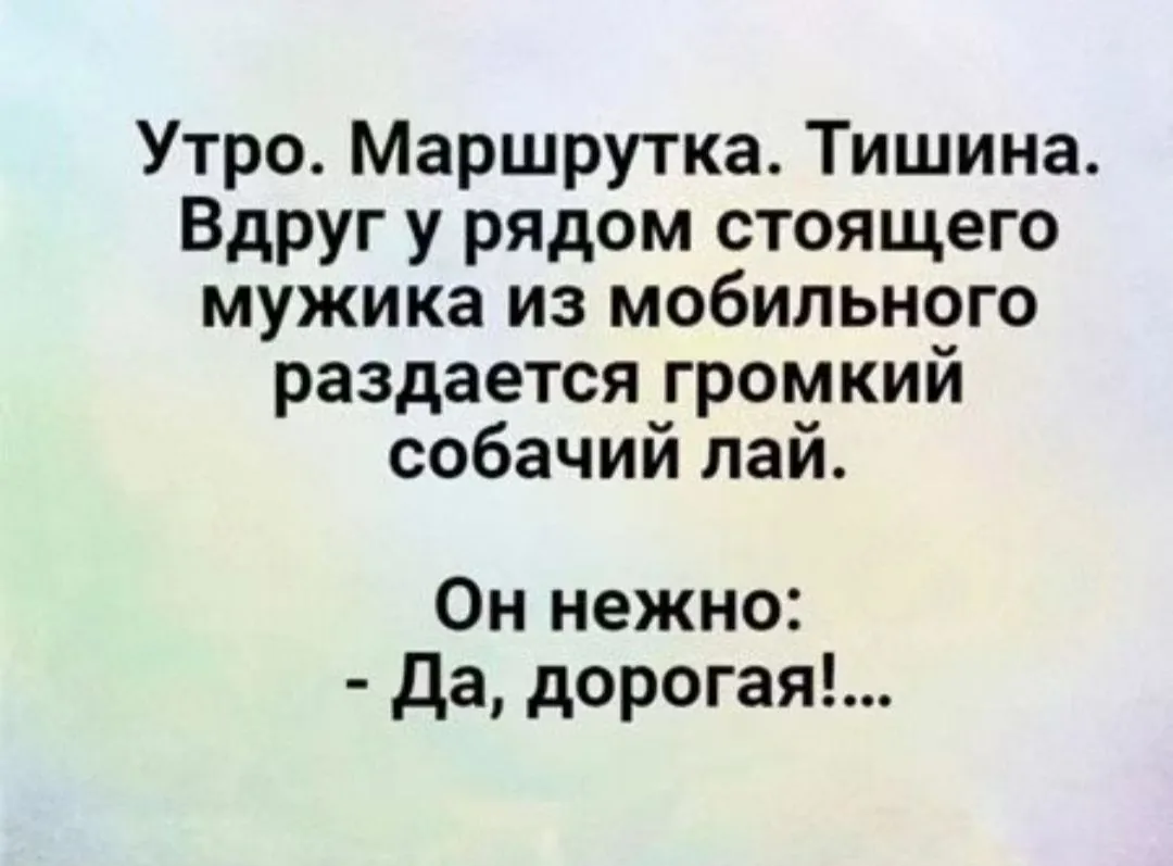 IMG_20240621_224111.webp