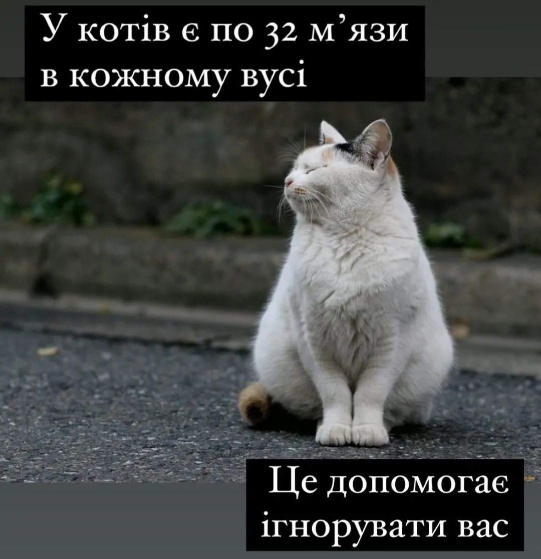 IMG_20240621_224127.webp