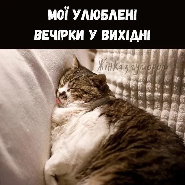 IMG_20240623_190541_506.webp