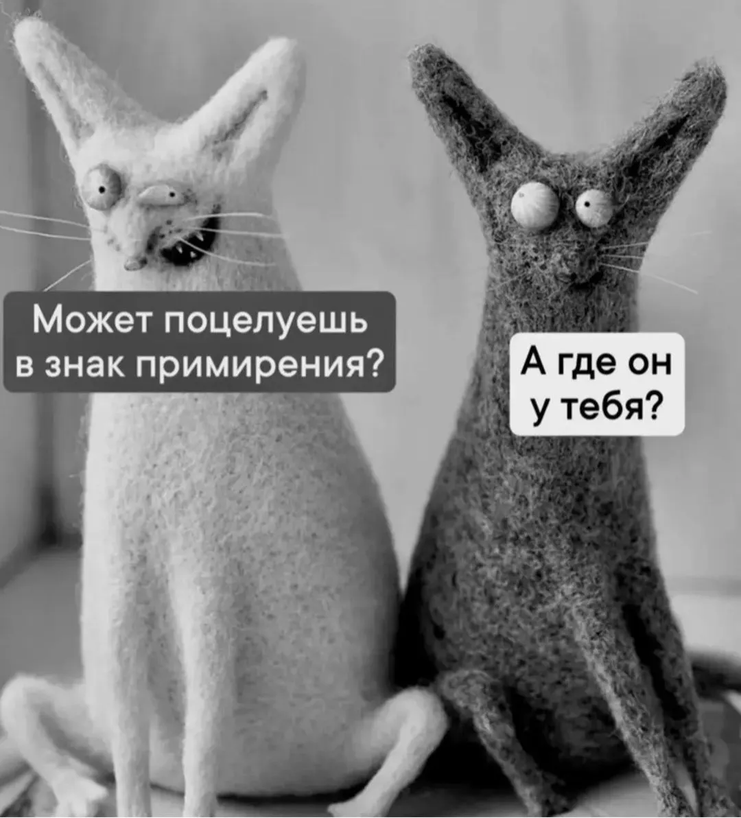 IMG_20240623_192729.webp