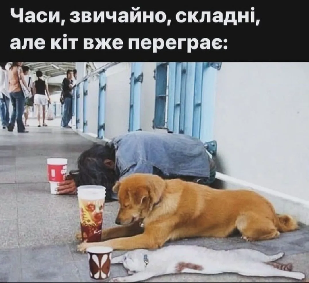 IMG_20240629_155039.webp